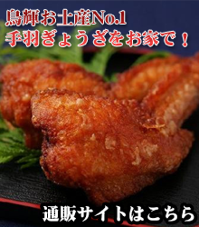 鳥輝　通販　手羽ぎょうざ